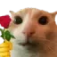 rose Discord emoji