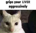 livergripper
