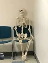 skele