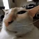 fr Discord emoji