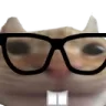 nerdcat
