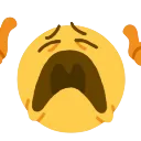 WHY
