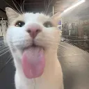 bleh