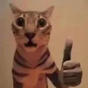 dog_thumb