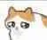 crycat