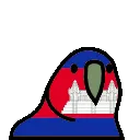 parrotcambodian
