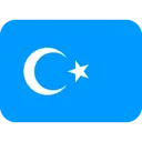 5181eastturkestan