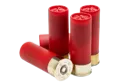 shotgunshells