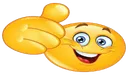 verri_nice