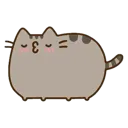 sexypusheen