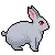 greybunny