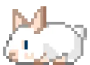 bunny1