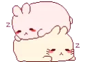 sleep