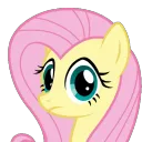 fluttershy