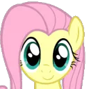 fluttershy