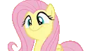fluttershy