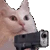 Catgun