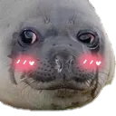 laesblush