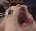 __