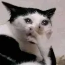 emoji_18