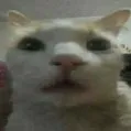 emoji6795