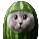 97788watimilycat