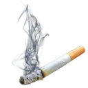 8_wcig