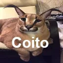 coito