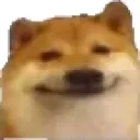 dogsmirk