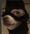 badman