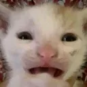 emoji_17