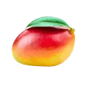 mangi