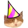 missbday