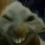 xdx xdx