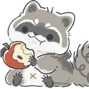raccoon
