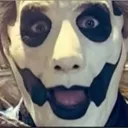 sillycopia sillycopia