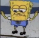 SpongeSwag