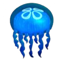 nooni