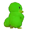 duckygreeny