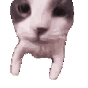 cat_kiss animated emote | Crimson Hearts ‹❦›