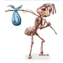 bindle_ant