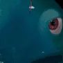 WhatTheHeckers