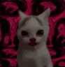 SCHIZOCAT