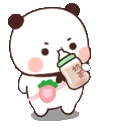 C_angrypanda
