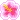 s_7tropicalflower