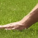b_grass