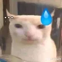 emoji_23 emoji_23
