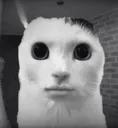 my_honest_reaction