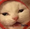 hehe