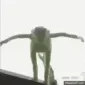 Kermitjump
